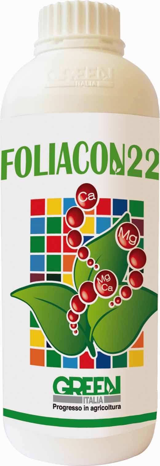 FOLIACON22 (440x1280)